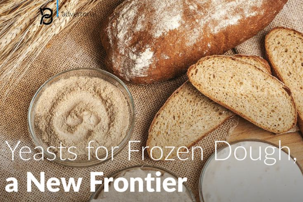 Yeasts for Frozen Dough, a New Frontier